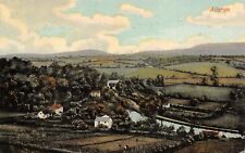 Alteryn Newport~South Wales~Birdseye Farms Along Waterfront~1908 Postcard picture