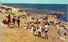 Vintage Postcard Greetings from Rehoboth Beach DE Delaware Sunbathers  picture