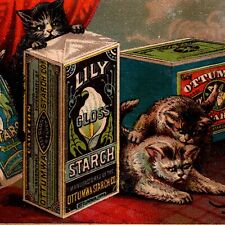 Three Cats Kittens Chasing Mouse Lily Gloss Corn Starch Victorian Trade Card picture