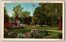 New York - The Campus And Gymnasium Cazenovia Junior College - Vintage Postcard picture
