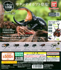 The Diversity of Life on Earth Beetle 5 Bandai Gashapon Toys set of 6 picture