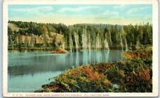 Postcard - Beaver Dam - near Mammoth Hot Springs, Yellowstone Park picture