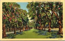 Pepper Tree Drive Southern California CA Linen Postcard UNP VTG Curt Teich picture