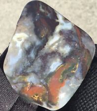 2.4 Oz Plume Moss Agate Palm Stone Freeform Display Shadow Banded Polished picture