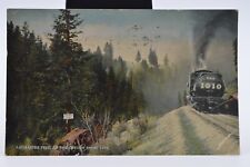 1914 - Paymaster Tree, On the Oregon Short Line - Antique Postcard picture