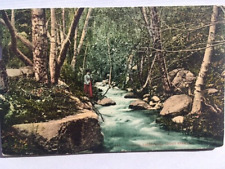 Vintage Postcard-Typical California Trout Stream     1909  # 434 picture