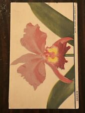 Vtg Orchid Honolulu Hi 1942 Hawaii Bates Color Cards WWII Postcard 1D52 picture