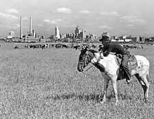 1945 Cowboy & Horse Dallas Texas Skyline Retro Picture Poster Photo Print 11x17 picture