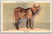 Postcard Maned Wolf National Zoological Park Washington DC District of Columbia picture