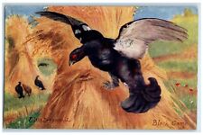 1910 Black Game Birds Oilette Tuck's Chicago Illinois IL Posted Antique Postcard picture