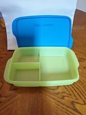 TUPPERWARE  Rectangle Large LUNCH-IT Divided Container Green/Blue-NEW picture