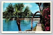 Florida's Silver Springs The Horseshoe Palm Glass, Bottom Boats VINTAGE Postcard picture