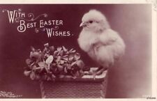 ROTOGRAPH REAL BROMIDE PHOTO BEST EASTER WISHES 1909 picture