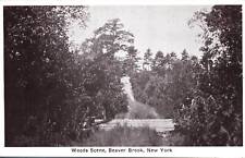 VINTAGE POSTCARD WOODS SCENE AT BEAVER BROOK NEW YORK c. 1920s SCARCE VIEW picture