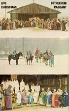 VTG 1980 PC LIVE CHRISTMAS PAGEANT BETHLEHEM PA ANIMALS ALL WEATHER NM ** picture