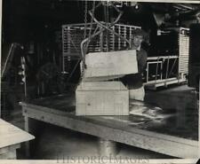1931 Press Photo Guayule Rubber American Rubber Producers Co Salinas California picture