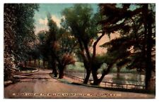 Antique Vassar Lake and the Willows, Vassar College, Poughkeepsie, NY Postcard picture