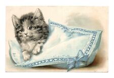 Cat Illustrator Without Signature. CPA IN Relief picture