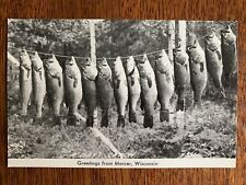 40s RPPC Greetings from Mercer Wisconsin fish on a line days catch honeymoon WI picture