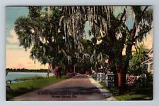 Winter Haven FL-Florida, Scenic Drive on Lake Howard, c1955 Vintage Postcard picture