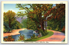 Galva IL-Illinois, River Front Road, Landscape, Trees, Vintage Linen Postcard picture