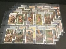 1931 BAT British American Tobacco Life in the Tree Tops Set of 50 Cards Sku49S picture