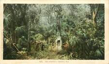 Florida, FL, Ormond, The Chimneys UDB pre-1907 Postcard picture