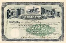 Cape May Driving Park Co. - Horse Racing Stock Certificate - General Stocks picture