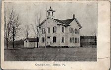 c1900 NELSON PENNSYLVANIA GRADED SCHOOL EARLY UNDIVIDED BACK POSTCARD 38-86 picture