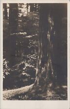 Cooksburg, PA: RPPC Longfellow Trail - Pennsylvania Strong Real Photo Postcard picture