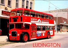 Ludington, MI Michigan BRISTOL DOUBLE DECKER BUS  Caribbean Queen  4X6 Postcard picture