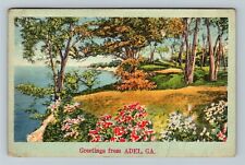 Adel GA-Georgia, Scenic Greetings  Vintage Souvenir Postcard picture