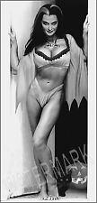 Sexy Lily The Munster Portrait High Quality Metal Magnet 2.5 x 5 Fridge 8886 picture