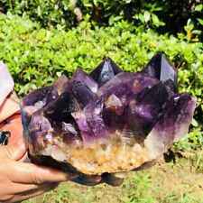 3220G Natural Amethyst Cluster Purple Quartz Crystal Rare Mineral Specimen picture