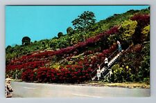 Kealakekua HI-Hawaii, Machado Gardens, Vintage Postcard picture