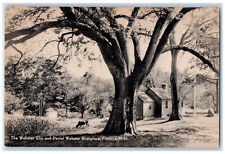 c1940's The Webster Elm and Daniel Webster Birthplace Franklin NH Postcard picture