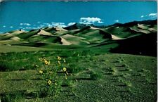 1968, GREAT SAND DUNES NATIONAL MONUMENT, Colorado Postcard picture