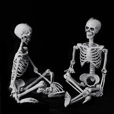 2x5.6ft Halloween Skeleton Full Life Size Party Tricky Decoration Indoor Outdoor picture