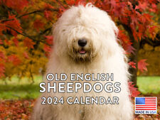 Old English Sheepdog Cute Dog Lovers 2024 Wall Calendar picture