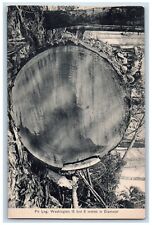 Washington WA Postcard Fir Log Washington 15 Feet 8 Inches Diameter c1910's picture