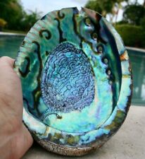 Abalone Shell Smudging Bowl Seashell Incense Burner 5 inches  - Single picture