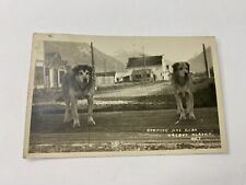 Valdez Alaska RPPC Postcard 2 Working Dogs In Town Antique picture