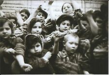 WW II - German  Photo --   Concentration Camp... picture