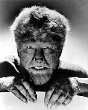 LON CHANEY JR AS THE WOLFMAN CLASSIC 8X10  PHOTO 11 picture