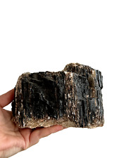 Large Black Tourmaline Specimen with Mica - 1500g picture
