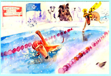 Dachshunds SPEEDY SWIM Swimming pool Russian postcard  picture