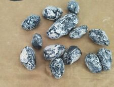 Native American Apache Tears Natural Stones Lot Of 13 Utah Obsidian Vtg picture