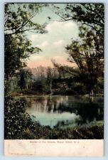 Water Witch New Jersey NJ Postcard Scene Woods Exterior Lake River c1905 Vintage picture