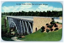 c1950s View Of Cut River Bridge 24 Miles Of West St. Ignace Michigan MI Postcard picture