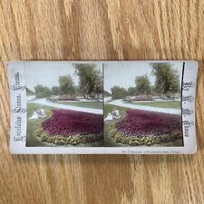 Antique Stereoscope Card Washington Park Chicago Baby Girl Boy Stereoview 3D picture